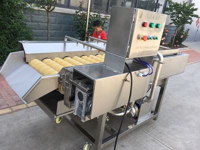 濟(jì)南毛發(fā)去雜清洗機(jī)