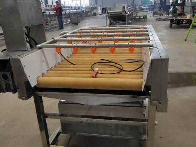 濟(jì)南毛發(fā)去雜清洗機(jī)