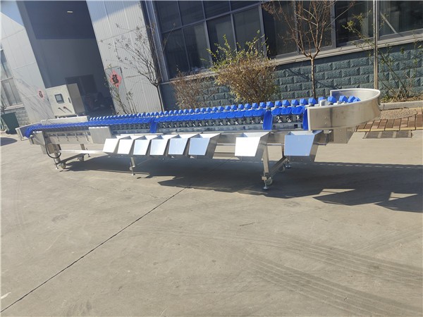 煙臺海蠣子重量分選機