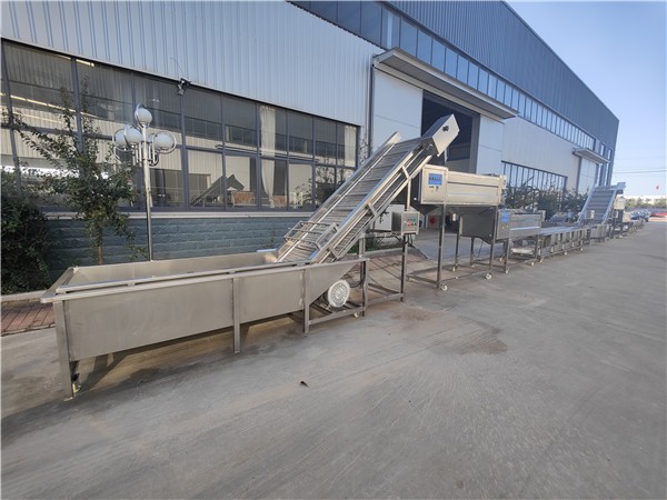 濟南紅薯清洗去皮流水線