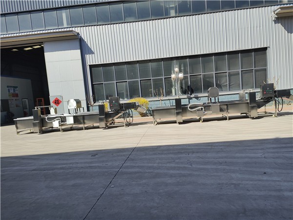 濟南升降式洗魚機